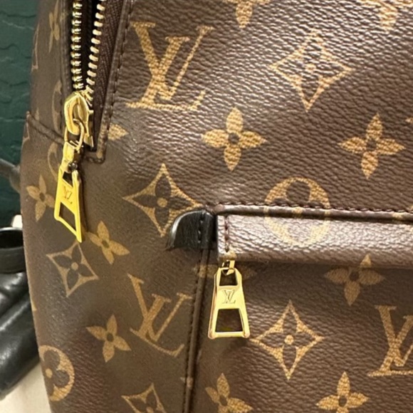 Louis Vuitton Palm Springs MM - Picture 4 of 10